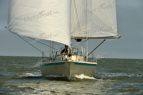 2016 Southern Bay Race Week B_0213