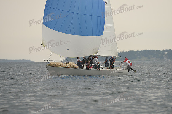 2016 Chester Race Week D_0749