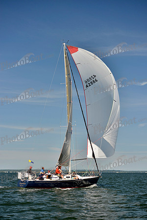 2017 Vineyard Race A_1185