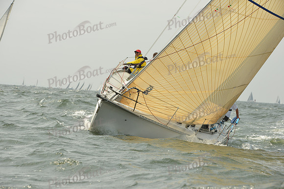 2015 Vineyard Race A 348