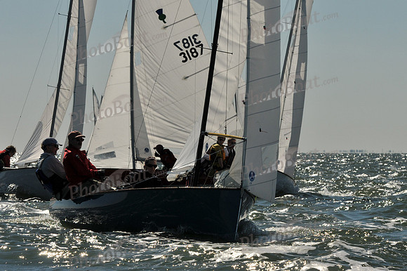 2012 Thistle Midwinters A 043