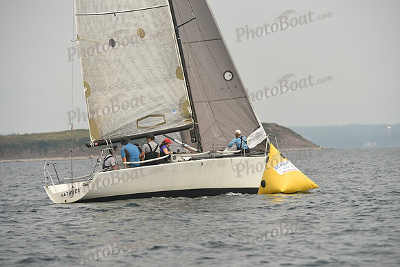 2016 Chester Race Week D_0215