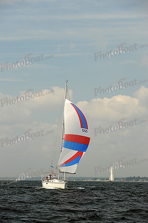 2013 Vineyard Race A 524