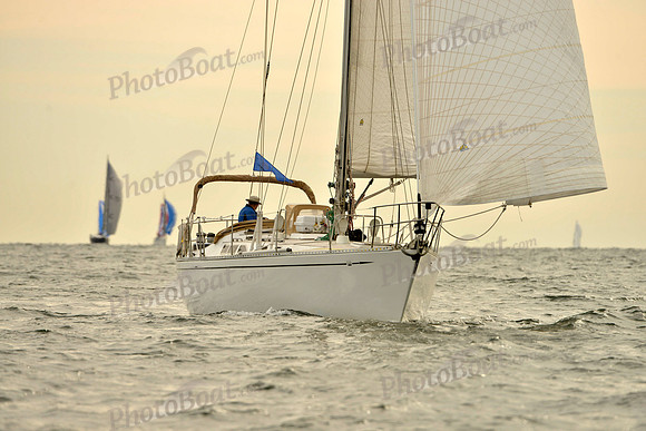 2017 Vineyard Race B_0073
