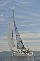 2016 Vineyard Race A_0705