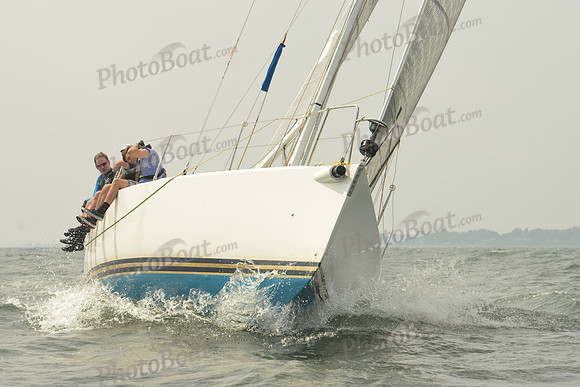 2015 Vineyard Race A 1502