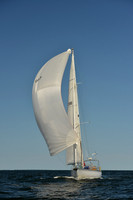 2015 Vineyard Race C 561