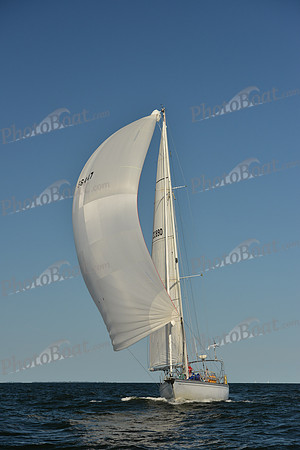 2015 Vineyard Race C 561