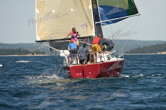 2016 Chester Race Week A_0499