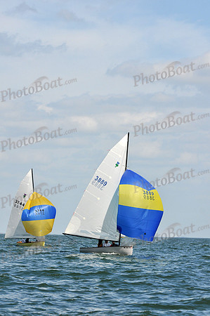 2012 Thistle Midwinters B 1447