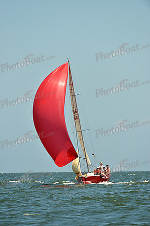 2015 Southern Bay Race Week C 1355