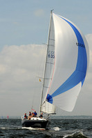 2013 Vineyard Race A 869