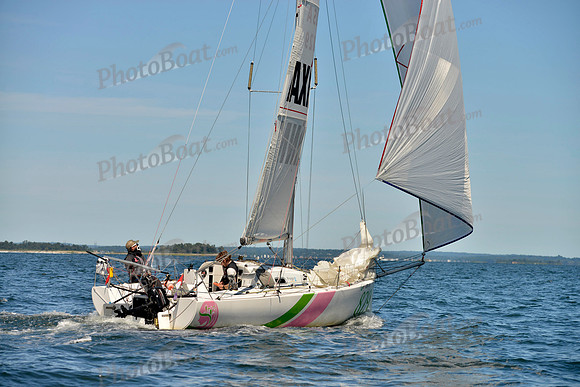 2017 Vineyard Race A_0995