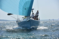 2019 Vineyard Race A_2052