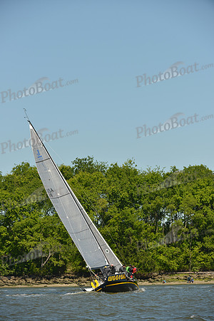 2016 Charleston Race Week F_0323