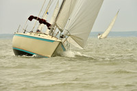 2016 Southern Bay Race Week A_1144