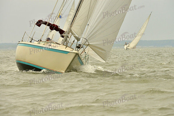 2016 Southern Bay Race Week A_1144