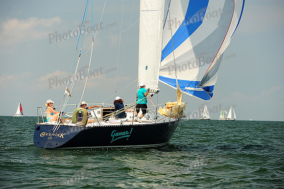 2014 Cape Charles Cup A 1010