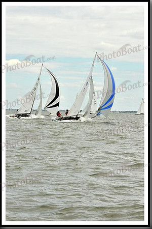 proof_2010_EScows_A 683