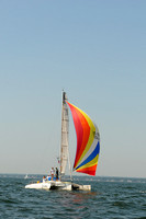 2012 Vineyard Race A 557