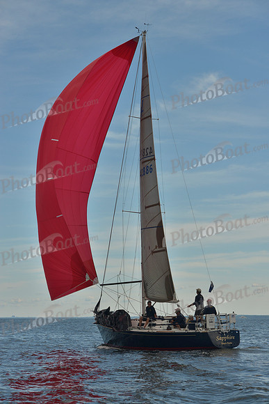 2016 Vineyard Race A_0790