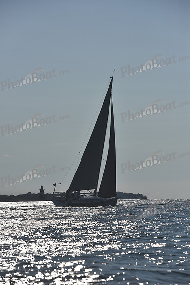 2021 Vineyard Race B 2348