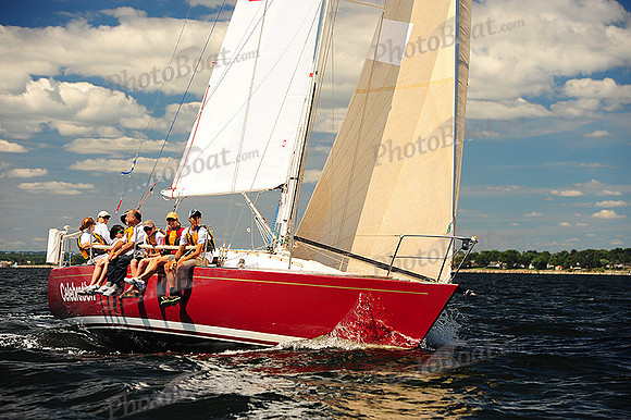 2014 Vineyard Race A 524