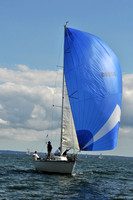 2010 IRC LIS 2031