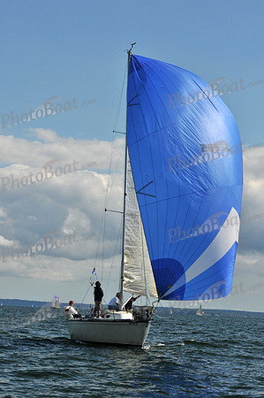2010 IRC LIS 2031