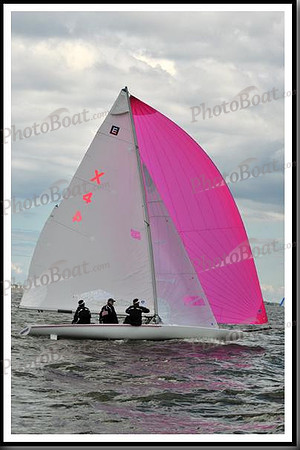 proof_2010_EScows_B 653