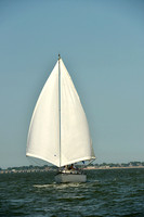 2015 Southern Bay Race Week A 1642