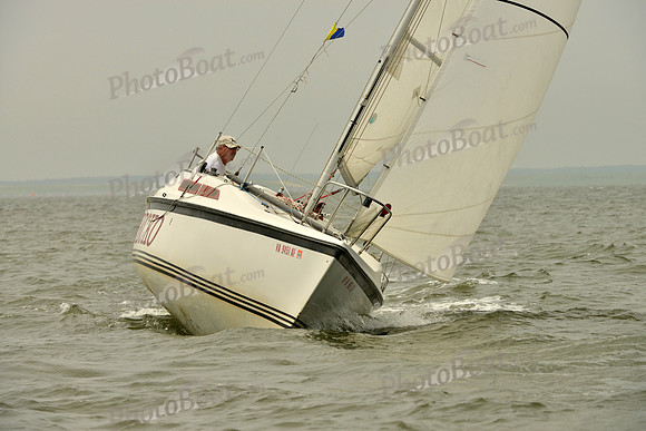 2016 Southern Bay Race Week A_0432