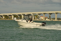 2019 Feb 10 Tampa Bay B_0791