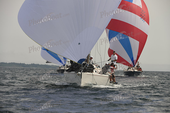 2016 Chester Race Week C_1438