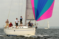 2013 Vineyard Race A 342