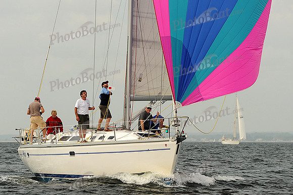 2013 Vineyard Race A 342