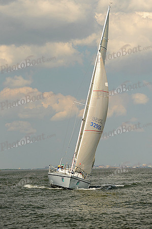 2014 Charleston Race Week A 485