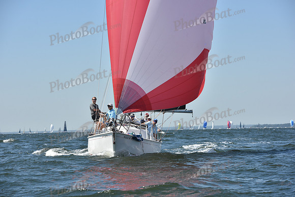 2019 Vineyard Race A_0435