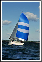 proof_2010_Vineyard_Race_0150