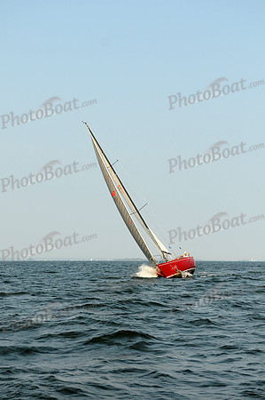 2011 Vineyard Race B 906
