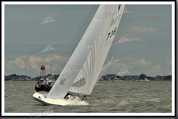 proof_2010_EScows_B 828