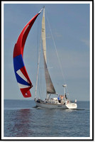 proof_2010 Block Island Race 117
