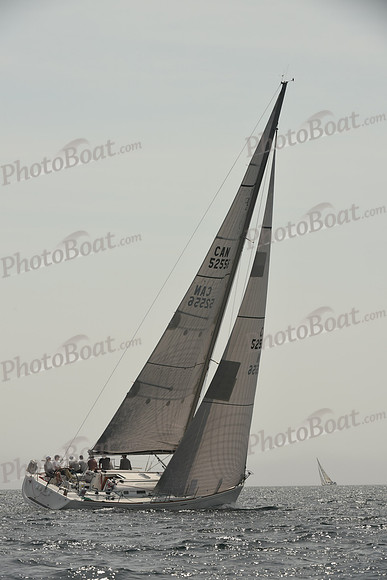 2016 Chester Race Week C_0298