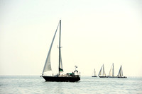 2014 Cape Charles Cup A 213