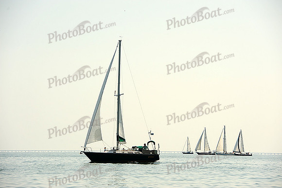 2014 Cape Charles Cup A 213