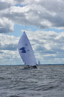 2021 Vineyard Race A 2620