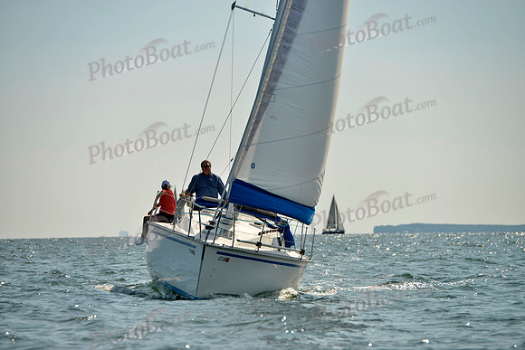 2017 Stamford Denmark Race_0169
