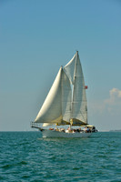 2017 St Petersburg Habana Race_1533
