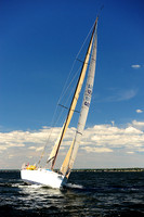 2014 Vineyard Race A 790
