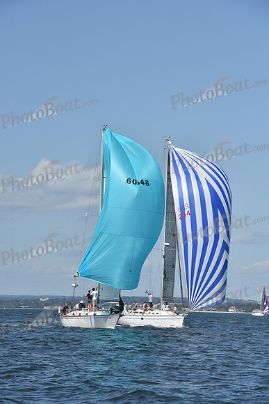2020 Vineyard Race A_0318